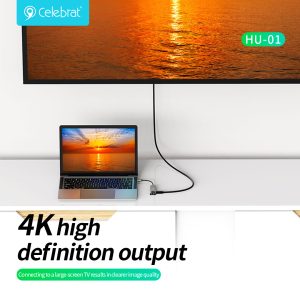 4K high definition output