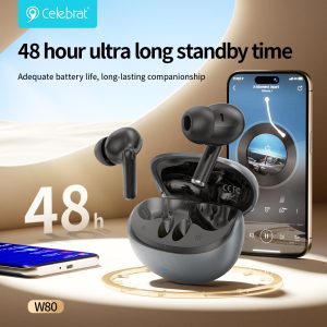 48 hour ultra long standby time