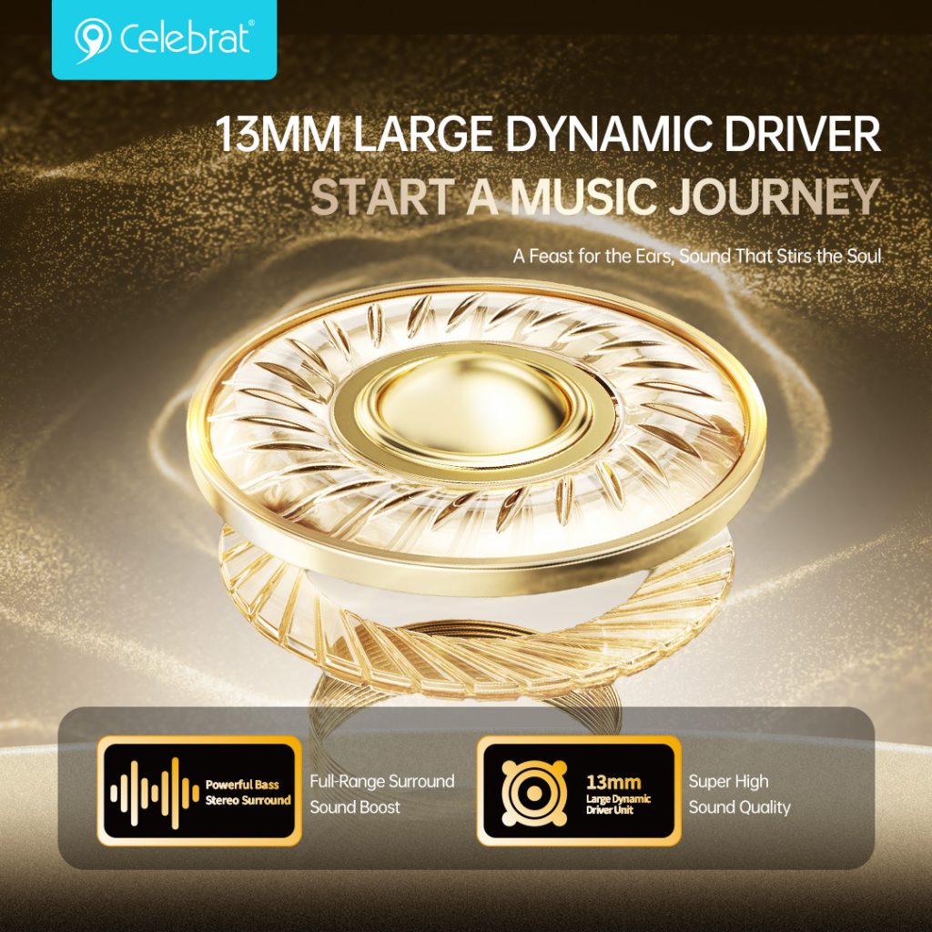 13MM LARGE DYNAMIC DRIVER START A MUSIC JOURNEY