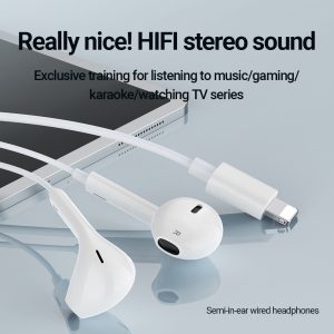 Really nice! HlFl stereo sound