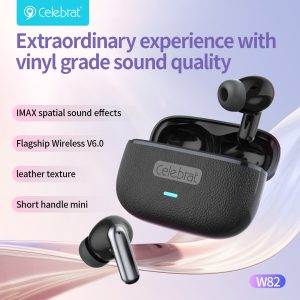 Extraordinary experience with vinyl grade sound quality