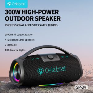 300W HIGH-POWER OUTDOOR SPEAKER