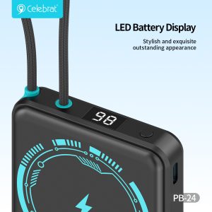 LED Battery Display