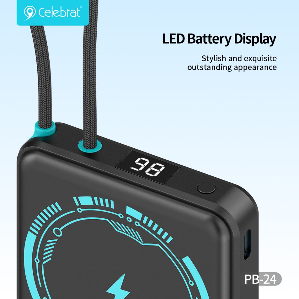 LED Battery Display